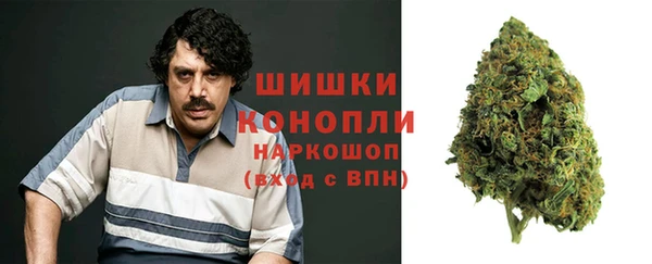 амф Богданович